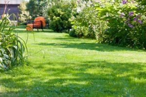 travaux jardin et paysage Luche-Thouarsais